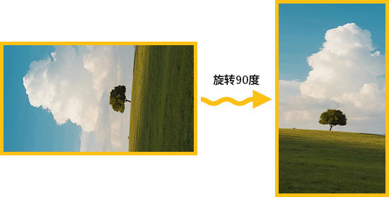 01.jpg